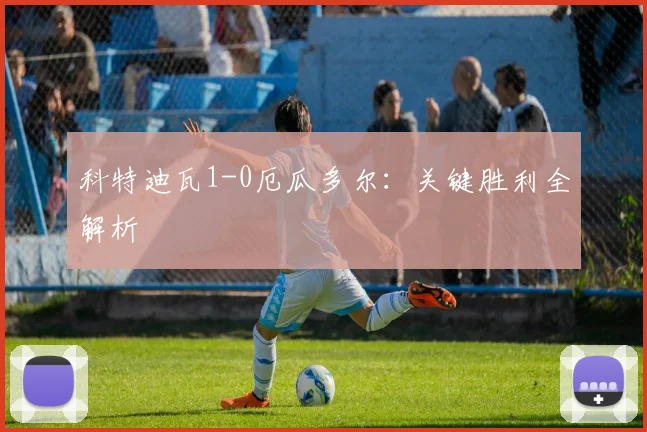 科特迪瓦1-0厄瓜多尔：关键胜利全解析