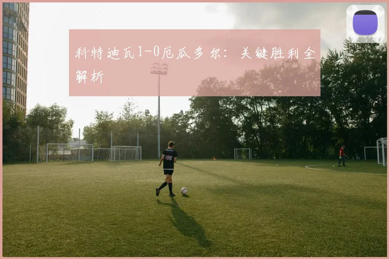 科特迪瓦1-0厄瓜多尔：关键胜利全解析
