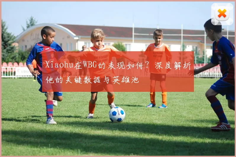 Xiaohu在WBG的表现如何？深度解析他的关键数据与英雄池